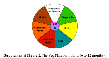 파일:영아를 위한 Vegplate(채식접시).png
