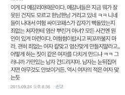 파일:염산테러 기사 댓글 캡쳐 09.png