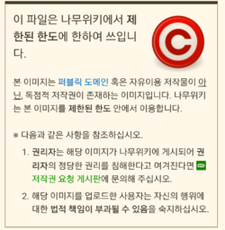 나무위키 파일 저작권 안내문 캡처본.