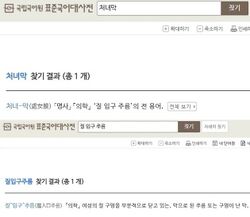 국립국어원 표준대사전에서 '처녀막'과 '질 입구 주름'을 검색한 모습